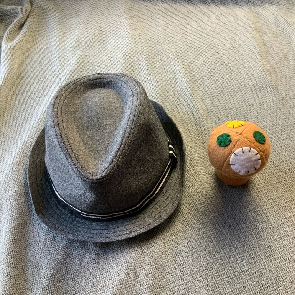 Gray Fedora Boy’s Hat